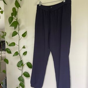 Express Dressy Navy Blue Joggers